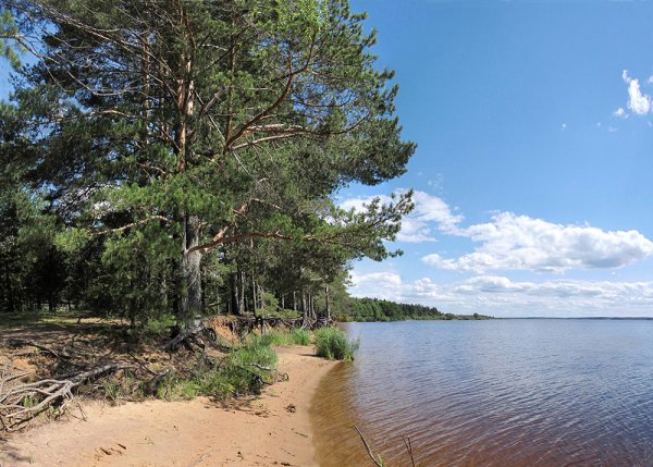 Оз Пено Тверская область