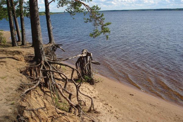 Озеро Иловец Тверская область