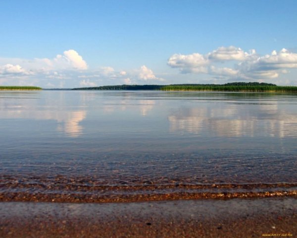 Озеро Пено Селигер