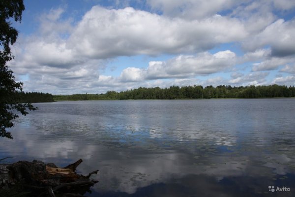 Пено (озеро) озёра Тверской области