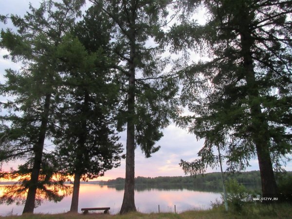 Озеро стерж Тверская область