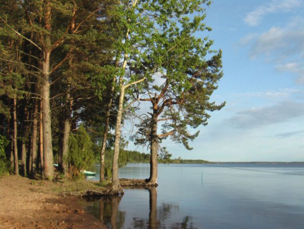 Турбаза Орлинка Селигер