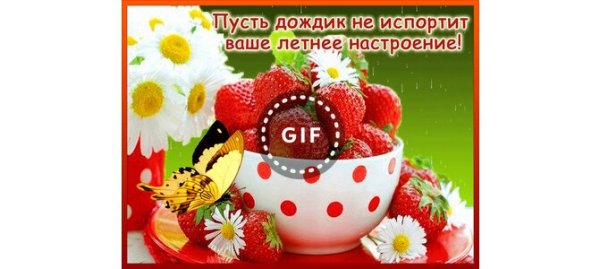 Пусть дождик не испортит летнее настроение