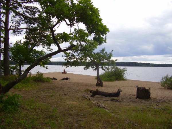 Озеро Пено Тверская область