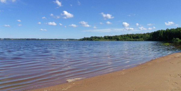 Озеро Пено Тверская область
