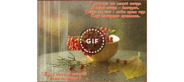 Пусть непогода не испортит