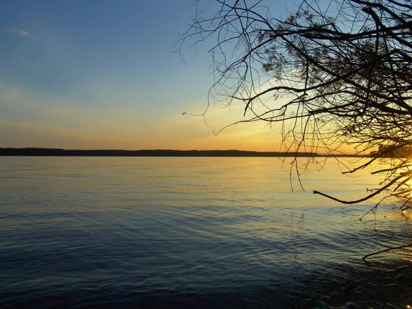 Озеро Пено Тверская область фото