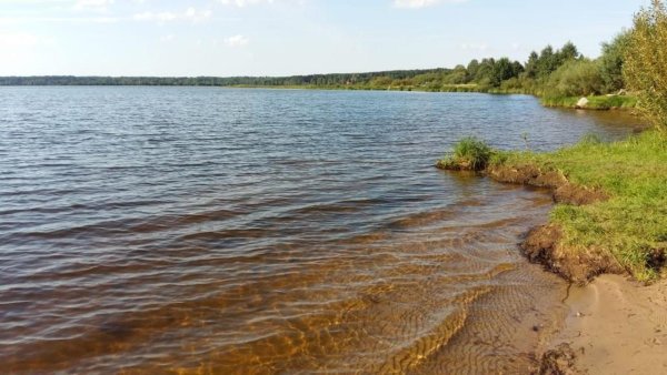 Вселуг Тверская область