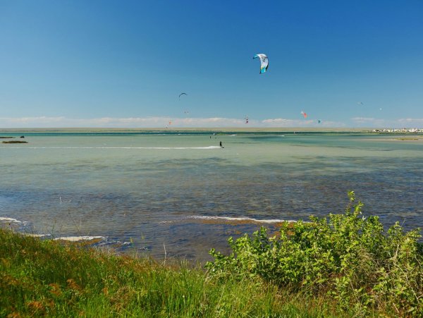 Залив Донузлав