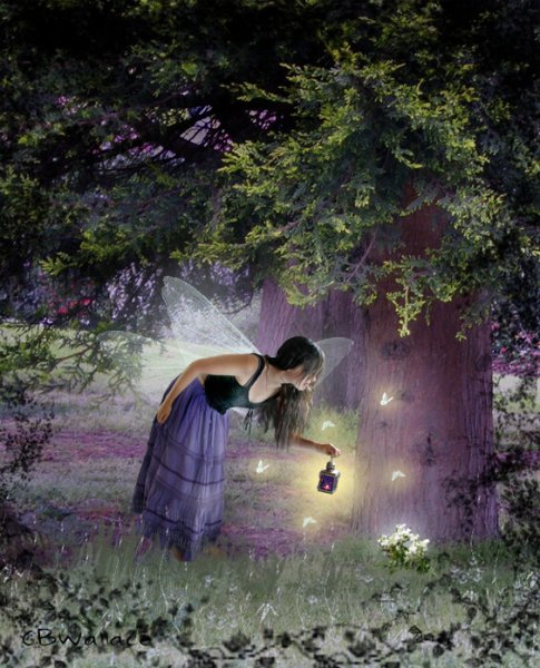 Сказочные мгновения