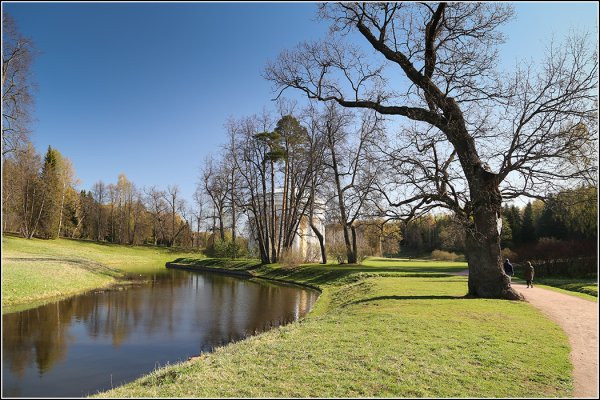 Лесопарки России