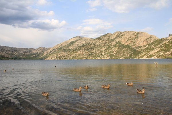 Усть-Каменогорск фото Сибинские озера в Усть-Каменогорске