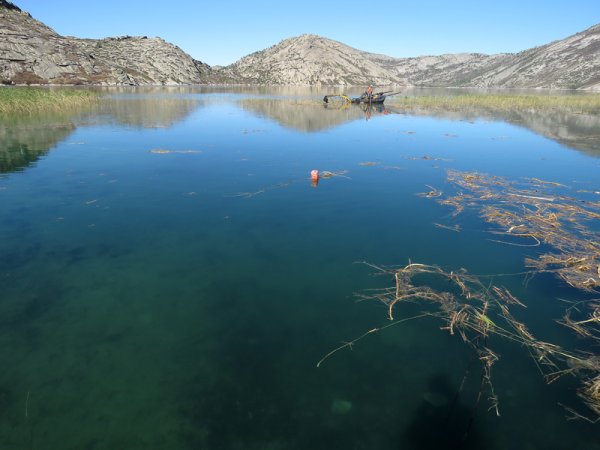 Сибины Усть-Каменогорск