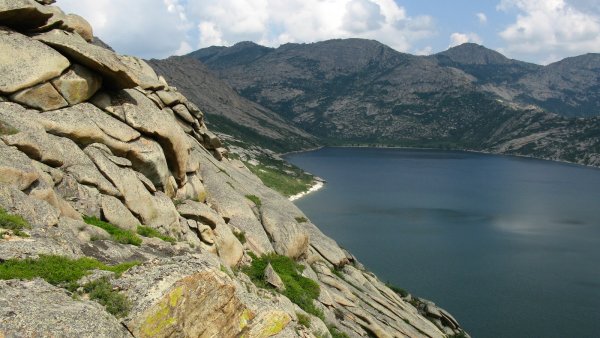 Дельфин Сибинские озера