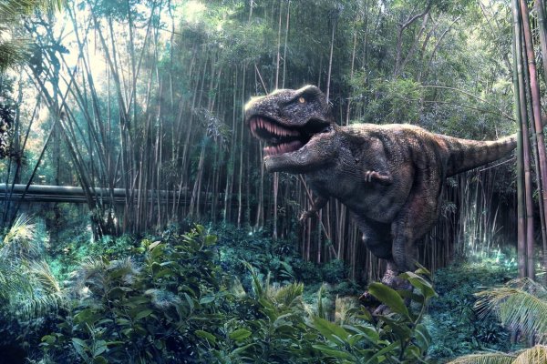 Настоящего динозавра парк парк настоящего динозавра
