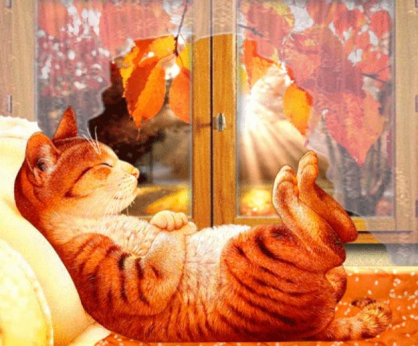 Уютной осени и душевного тепла