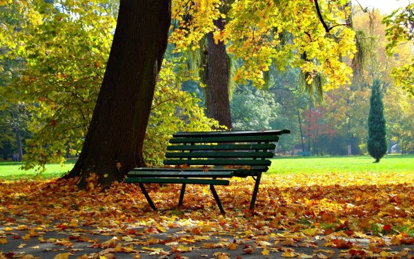 Осенний парк с лавочкой
