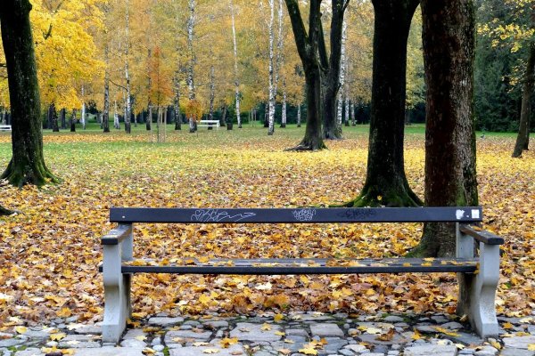 Скамейки в парках
