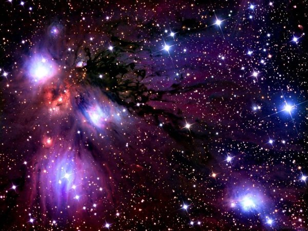 Полина я тебя люблю