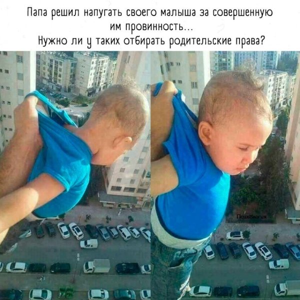 Мир сошел с ума