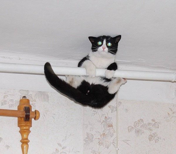 А вам слабо