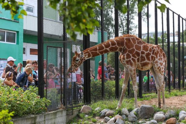 Александровский парк 1 зоопарк