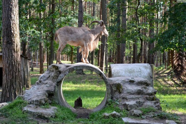 Зоопарк национальный парк Орловское Полесье