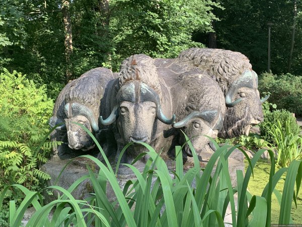 Парк животных