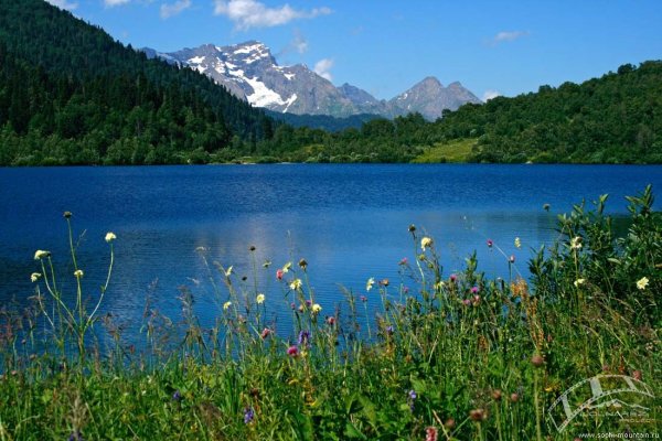 Озеро Кардывач Сочи обитатели