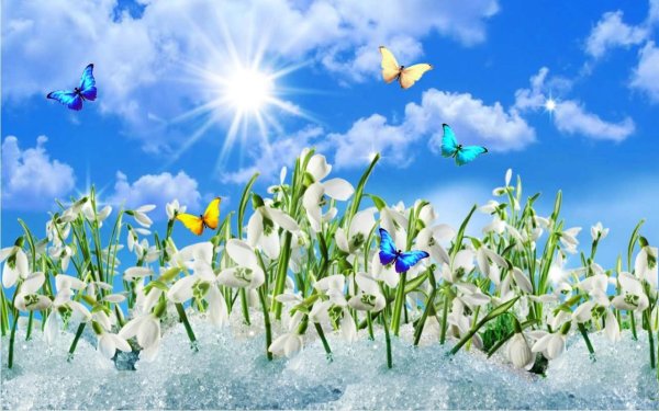 Весна снег солнце