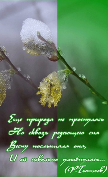 Весеннее настроение стихи