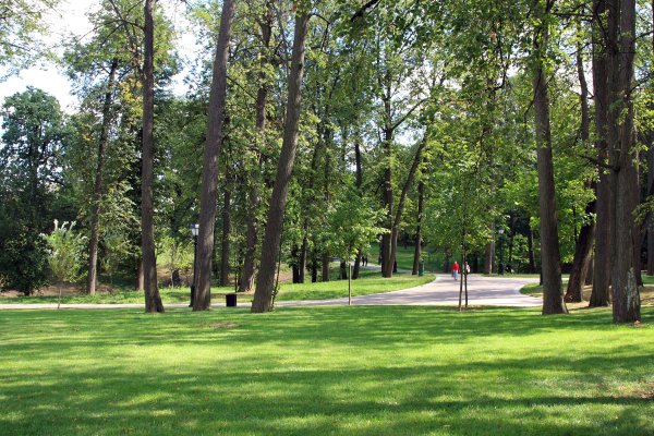 Парк Царицыно в зелени