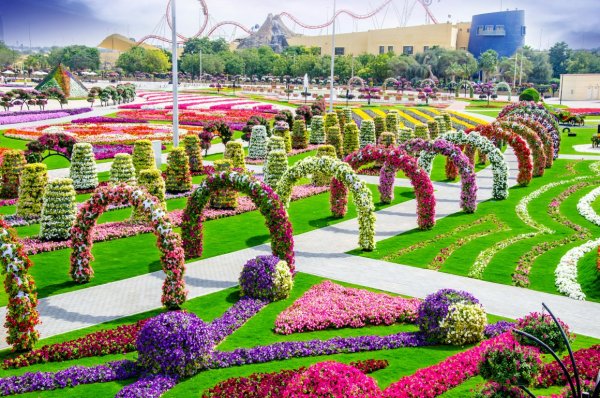 Гарден парк ОАЭ