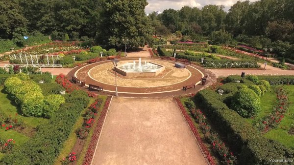 Большой розарий в парке Сокольники