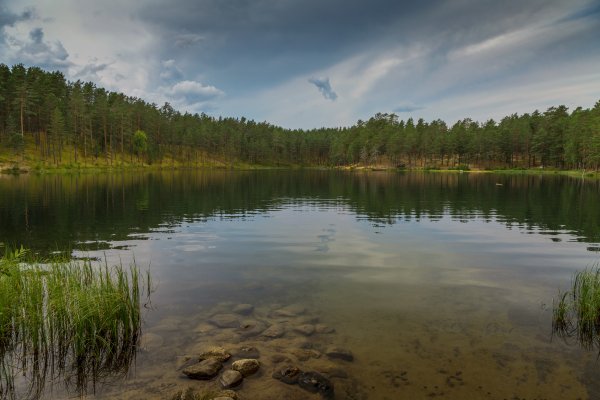 Озеро серебряное Марий Эл