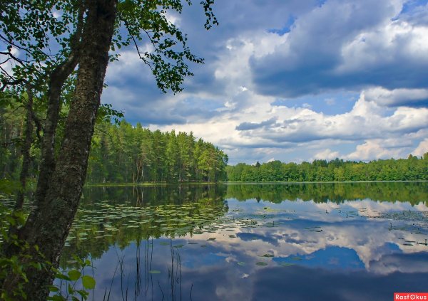 Озеро серебряное Марий Эл