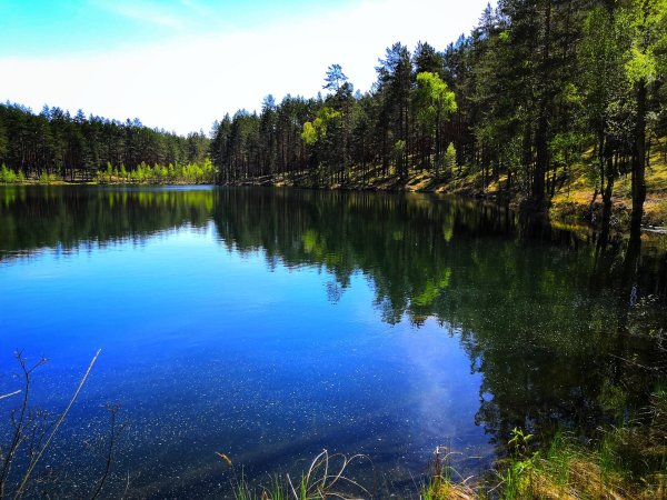 Серебряное озеро Псков