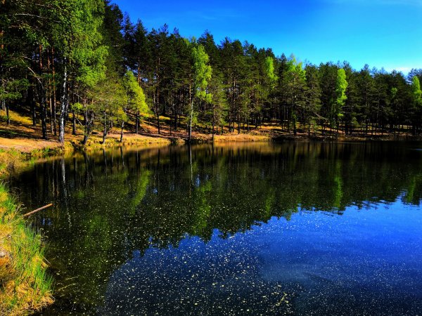 Серебряное озеро Псковская область