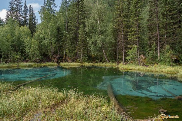 Озеро серебряное Марий Эл