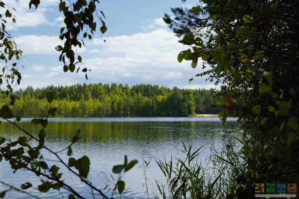 Озеро серебряное Марий Эл