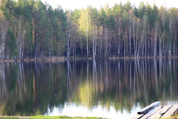 Серебряное озеро Псков