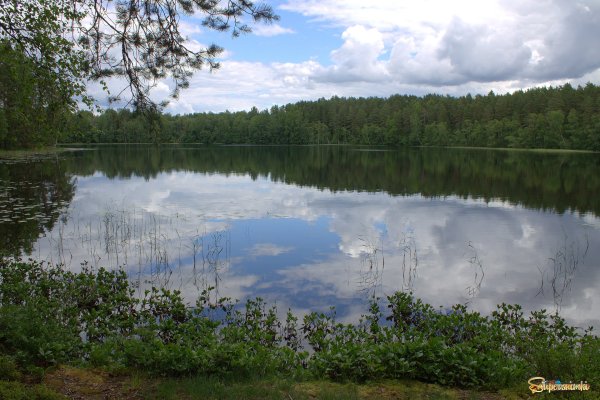 Белое озеро Новгородская область
