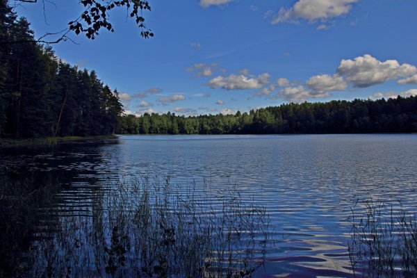 Озеро Тряское Селигер
