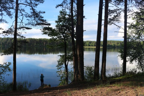 Озеро Тряское Селигер