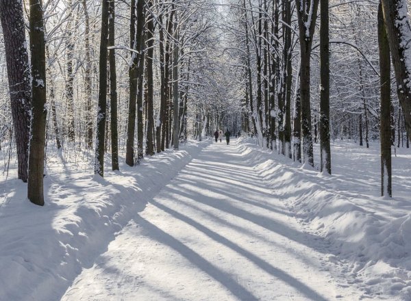 Глуховский парк зима