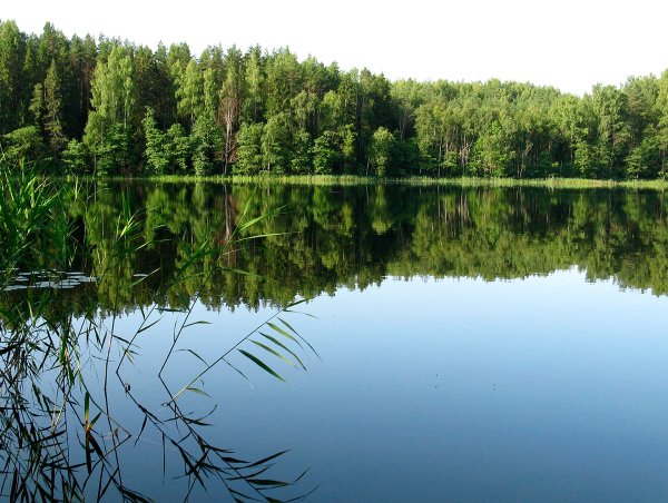 Озеро Тряское Селигер