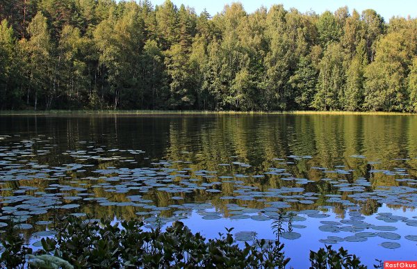 Серебряное озеро Селигер