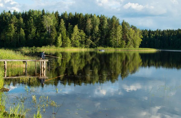 Озеро Селигер природа