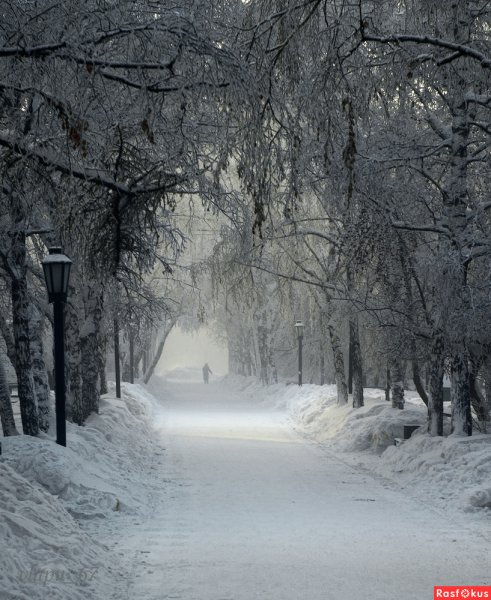 Зимний парк