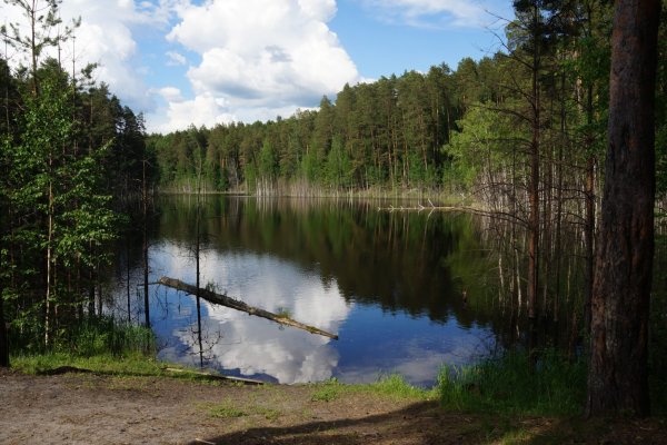 Озеро Сайвер Марий Эл